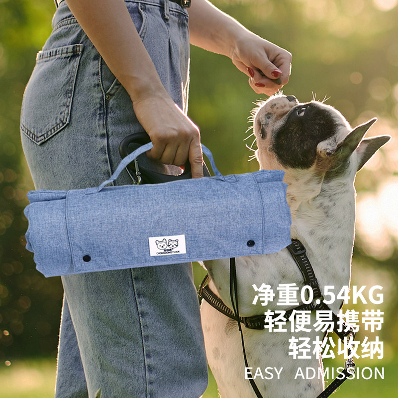 Tappetino Portatile Pieghevole - Outdoor Camping Dog Bed recensione e prezzo