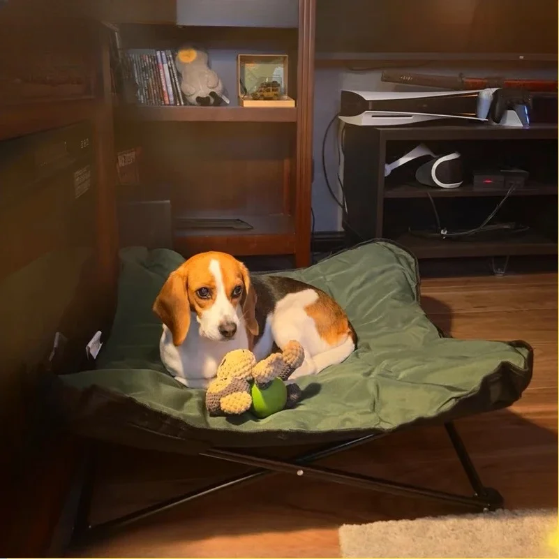 Cuccia Pieghevole da Campeggio - Outdoor Camping Dog Bed recensione e prezzo