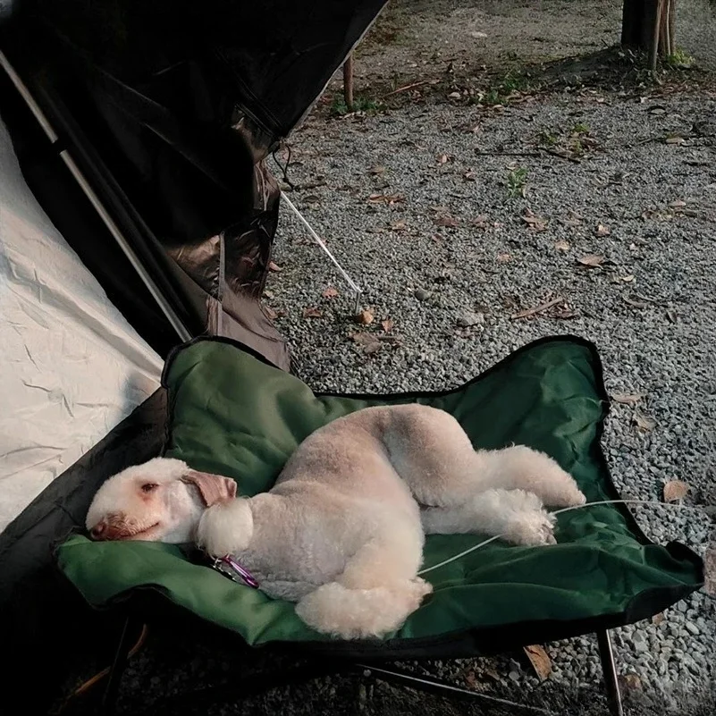 Cuccia Pieghevole da Campeggio - Outdoor Camping Dog Bed recensione e prezzo